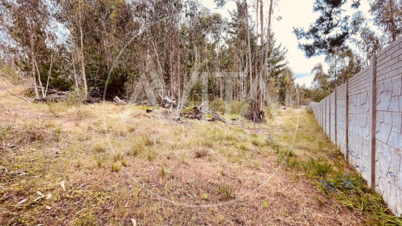 Parcela en las Petrillas, Algarrobo