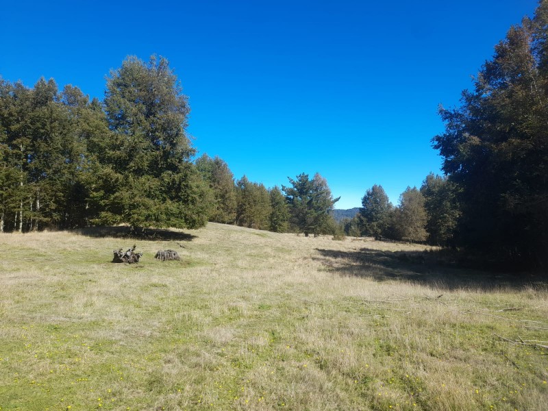 Hermoso Terreno de 5,65 Hás, Liumalla Villarrica