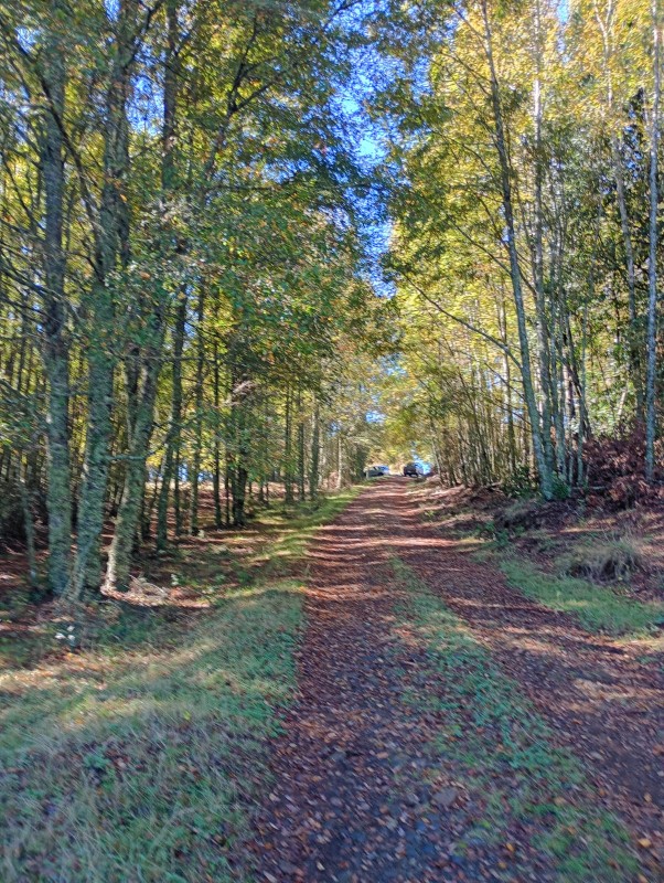 Hermoso Terreno de 5,65 Hás, Liumalla Villarrica