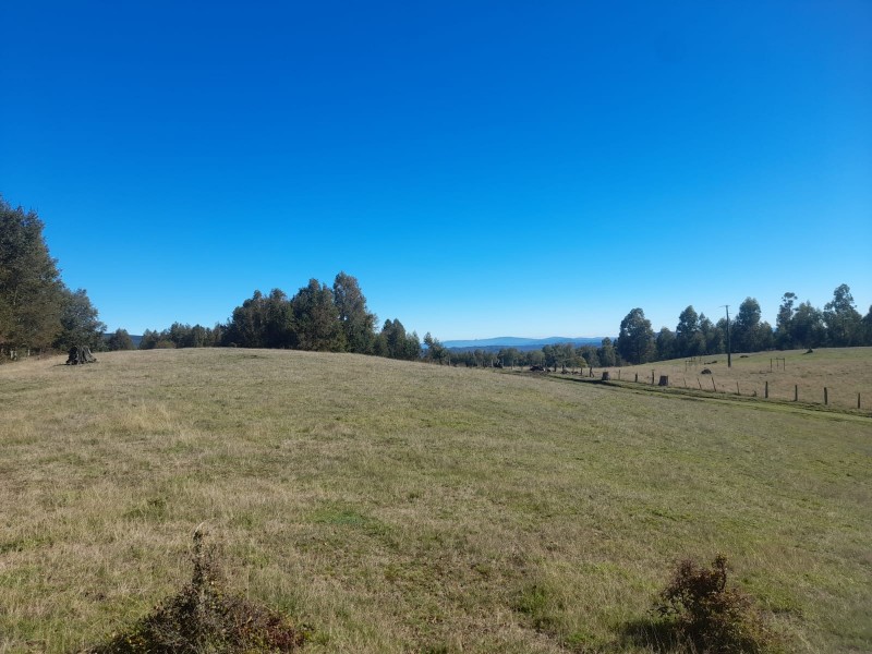 Hermoso Terreno de 5,65 Hás, Liumalla Villarrica