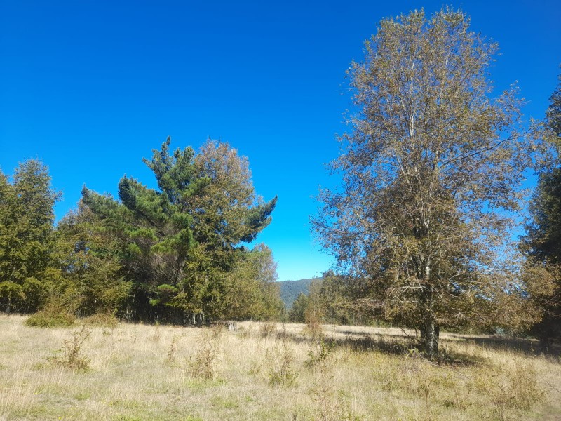 Hermoso Terreno de 5,65 Hás, Liumalla Villarrica