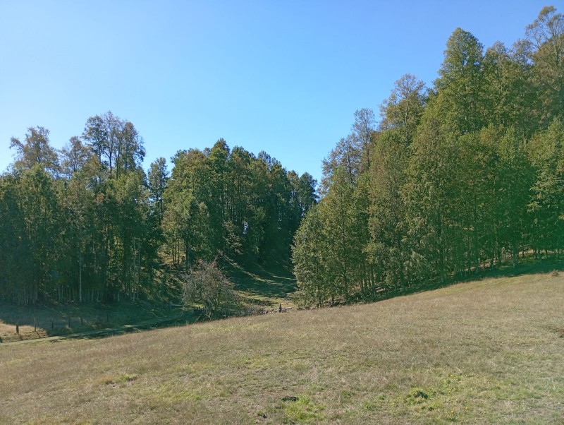 Hermoso Terreno de 5,65 Hás, Liumalla Villarrica