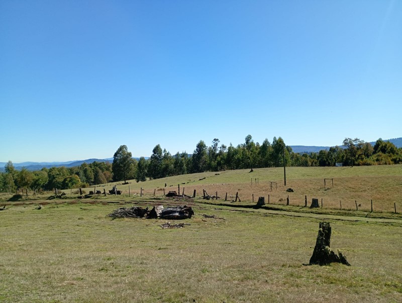 Hermoso Terreno de 5,65 Hás, Liumalla Villarrica