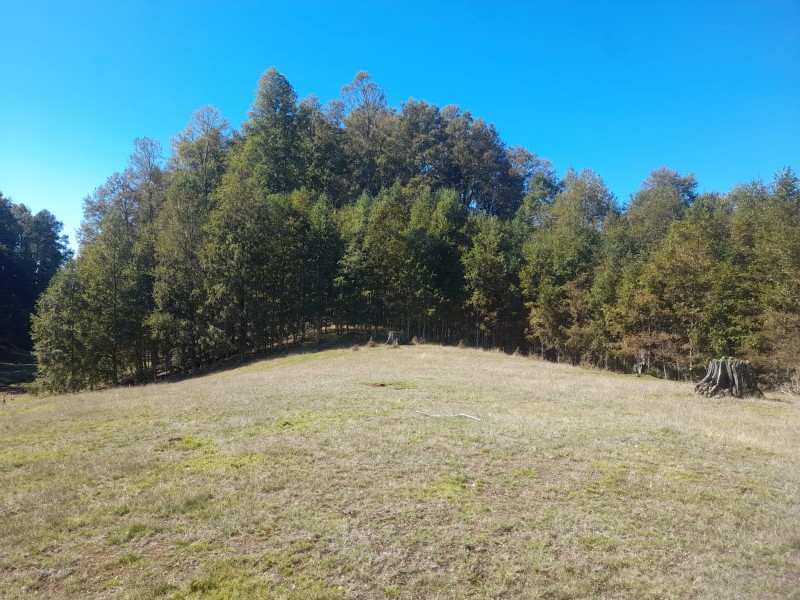 Fotografía de Hermoso Terreno de 5,65 Hás, Liumalla Villarrica