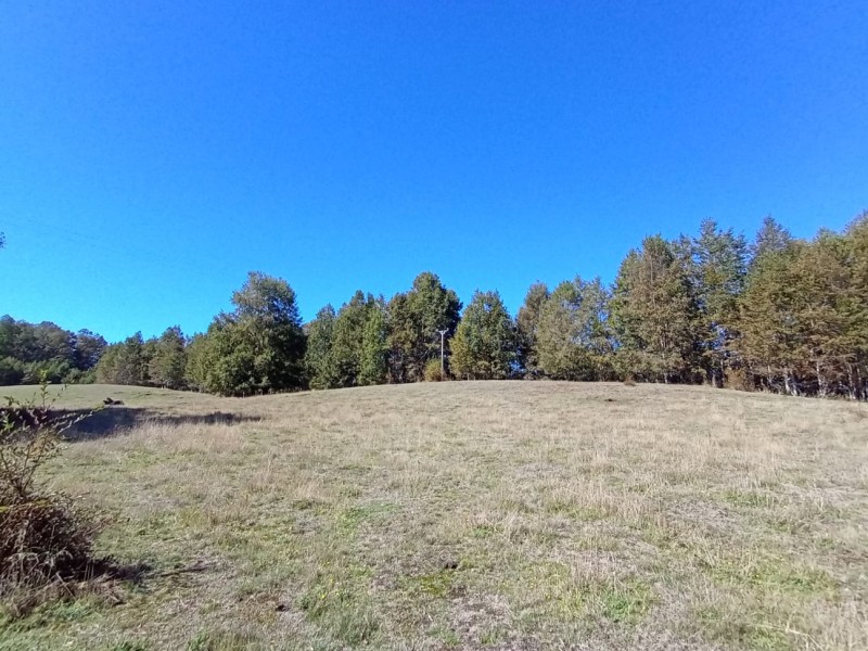 Hermoso Terreno de 5,65 Hás, Liumalla Villarrica