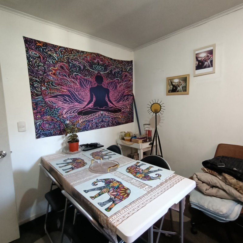 Se Vende Casa Con Cabaña en Villarrica