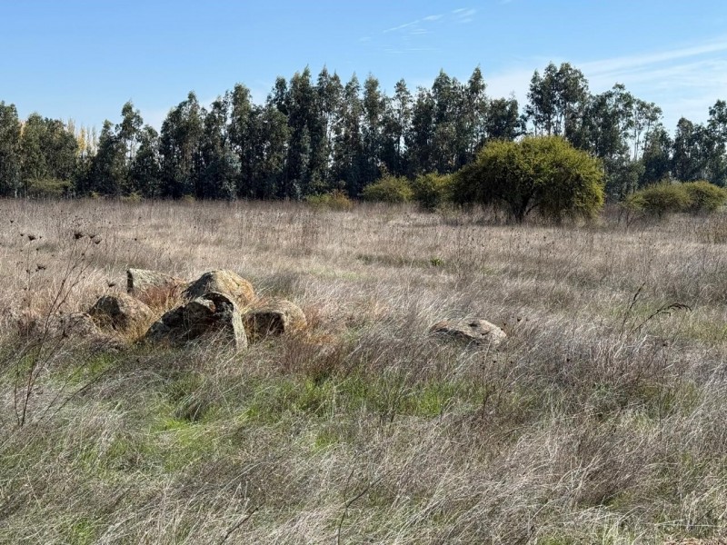 Se Vende 1 Hectárea en Sector Quesería Pelarco
