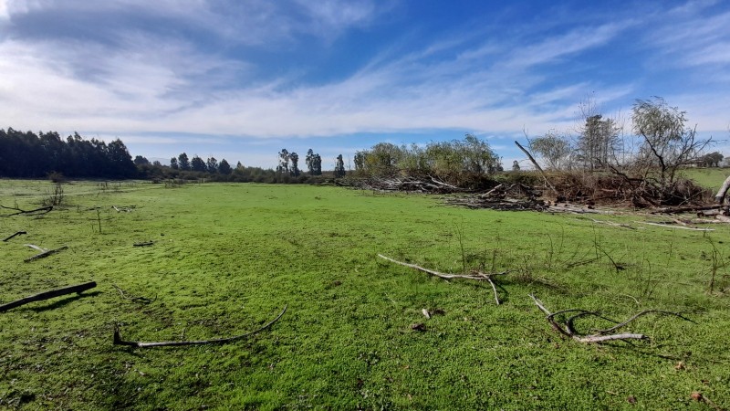 Se Vende Parcela Agrícola 40,14 Hectáreas en San Rafael