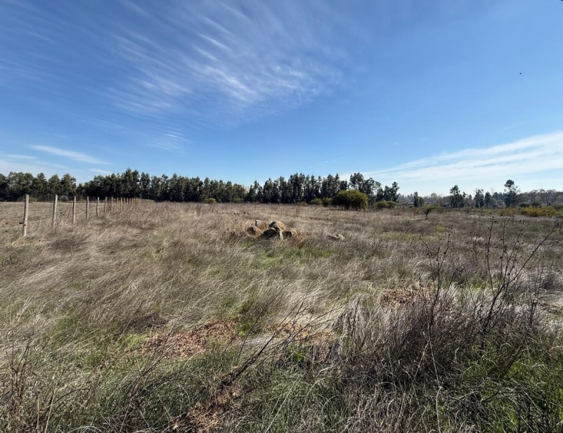 Fotografía de Se Vende 1 Hectárea en Sector Quesería Pelarco