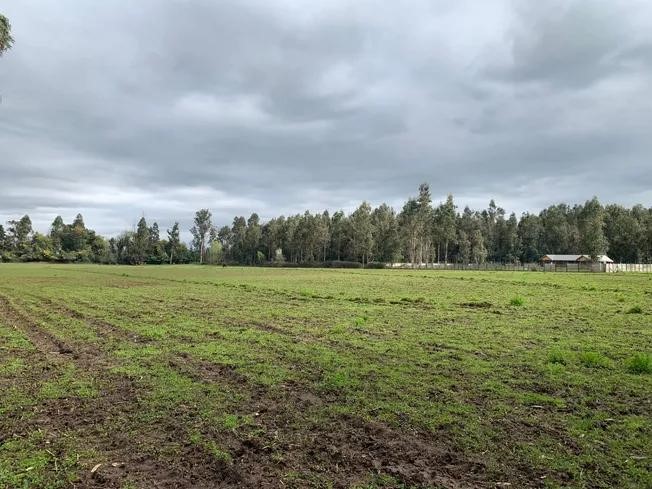 Se Vende Parcela Agrícola 3,59 Ha en la Comuna de Pelarco
