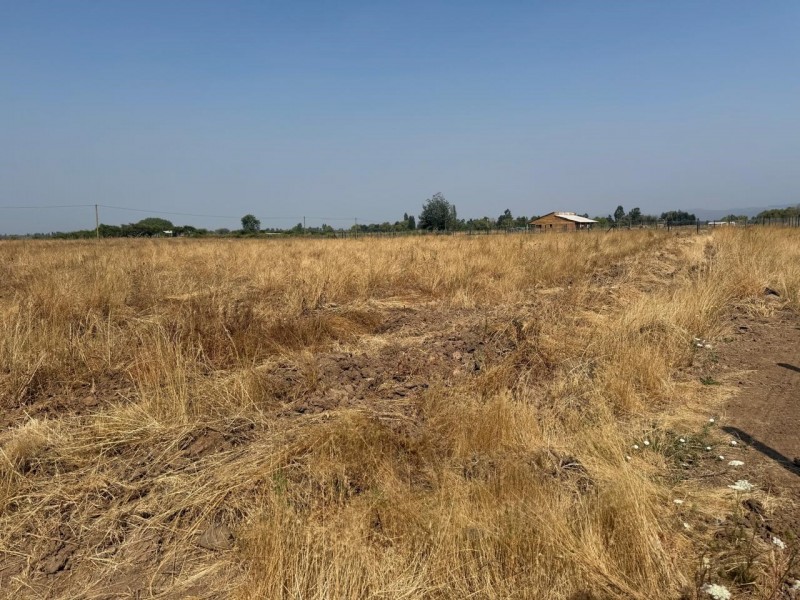 Se Vende Parcela de 5.000 M2 en la Comuna de San Rafael