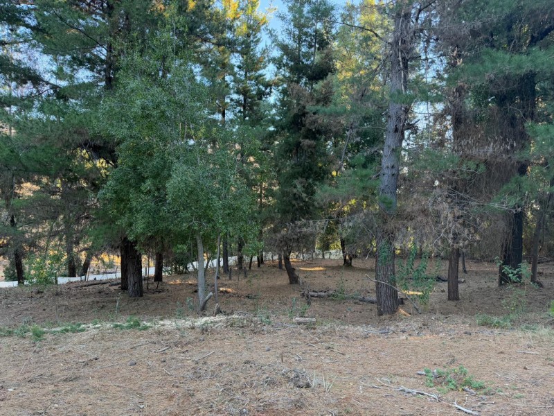 Se Vende Parcela de 5.000 M2 en Vilches Alto