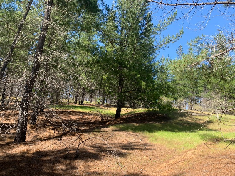 Se Vende 2.34 Ha,sector Pan de Azúcar,comuna de San Javier