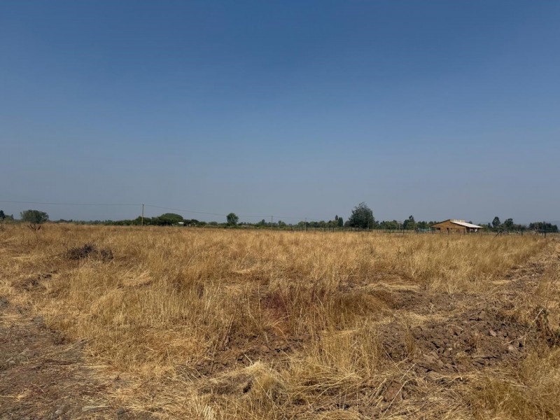 Se Vende Parcela de 5.000 M2 en la Comuna de San Rafael