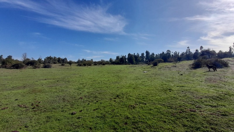Se Vende Parcela Agrícola 40,14 Hectáreas en San Rafael