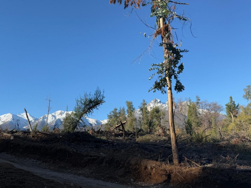 Se Vende Parcela de 5.000 M2 en Vilches Alto