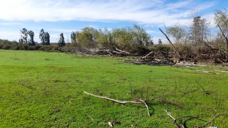 Se Vende Parcela Agrícola 40,14 Hectáreas en San Rafael