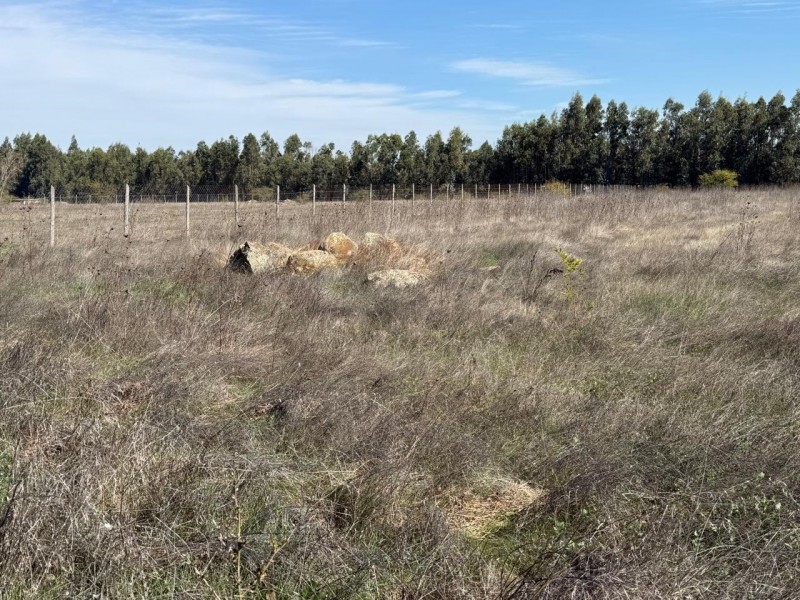 Se Vende 1 Hectárea en Sector Quesería Pelarco