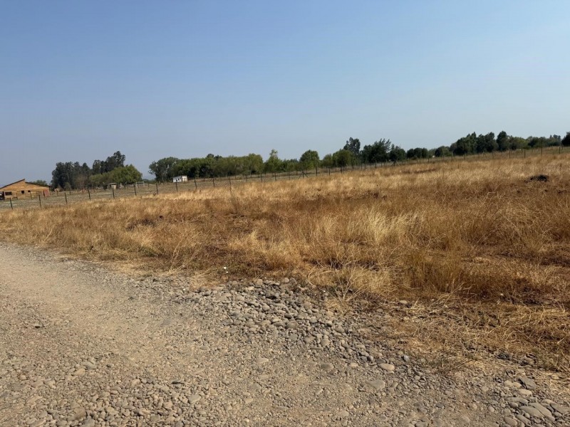 Se Vende Parcela de 5.000 M2 en la Comuna de San Rafael