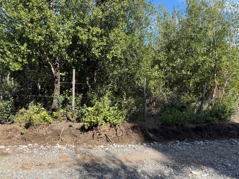 Se Vende Parcela de 5.000 M2 en Vilches Alto