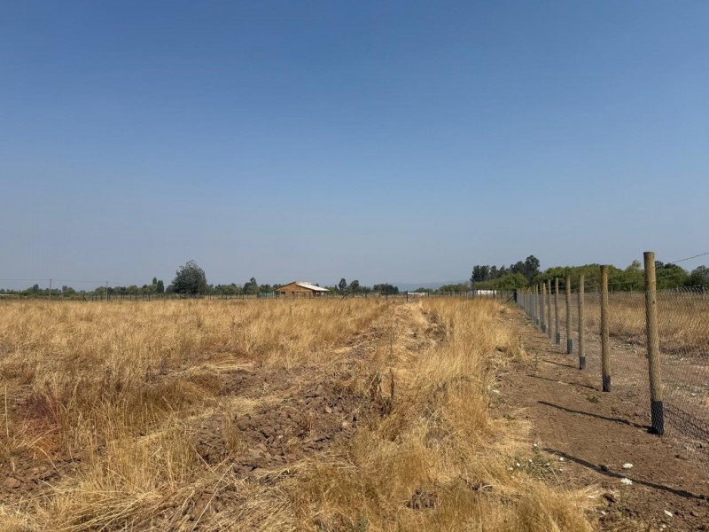 Se Vende Parcela de 5.000 M2 en la Comuna de San Rafael