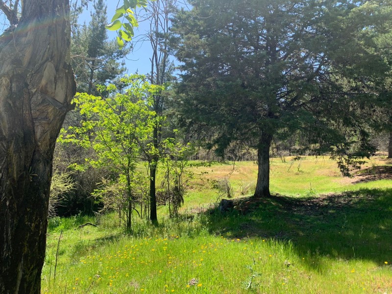 Se Vende 2.34 Ha,sector Pan de Azúcar,comuna de San Javier