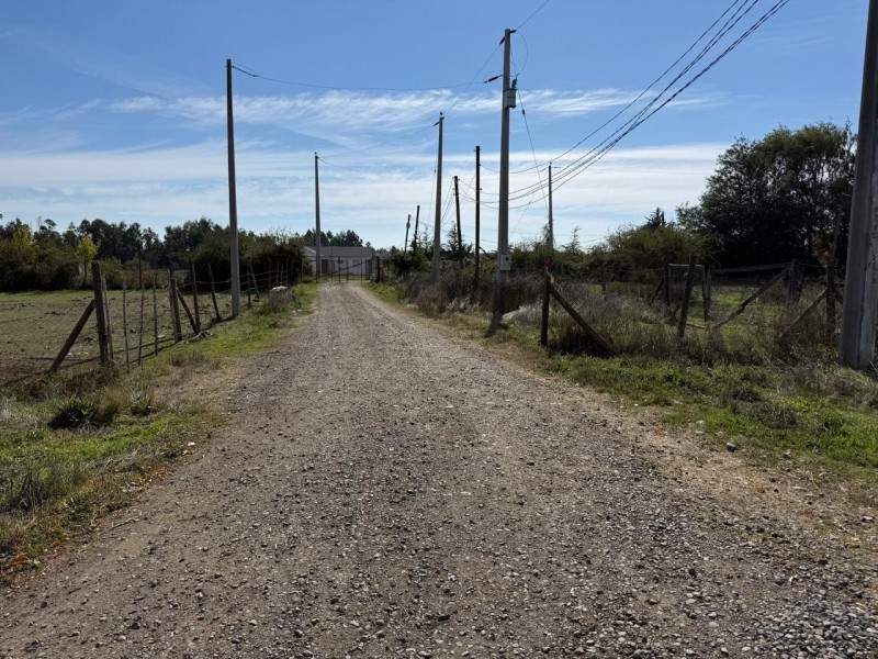 Se Vende 1 Hectárea en Sector Quesería Pelarco