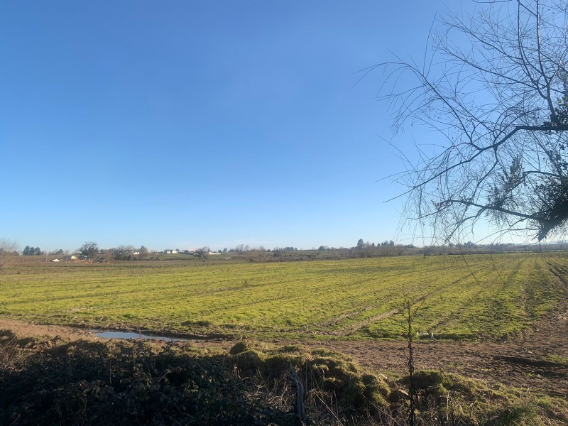 Se Vende Parcela Agrícola de 8 Hectáreas,pelarco