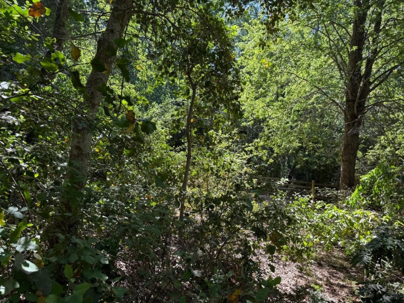 Se Vende Parcela de Agrado 5.000 M2, en Vilches Alto