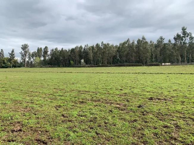 Se Vende Parcela Agrícola 3,59 Ha en la Comuna de Pelarco