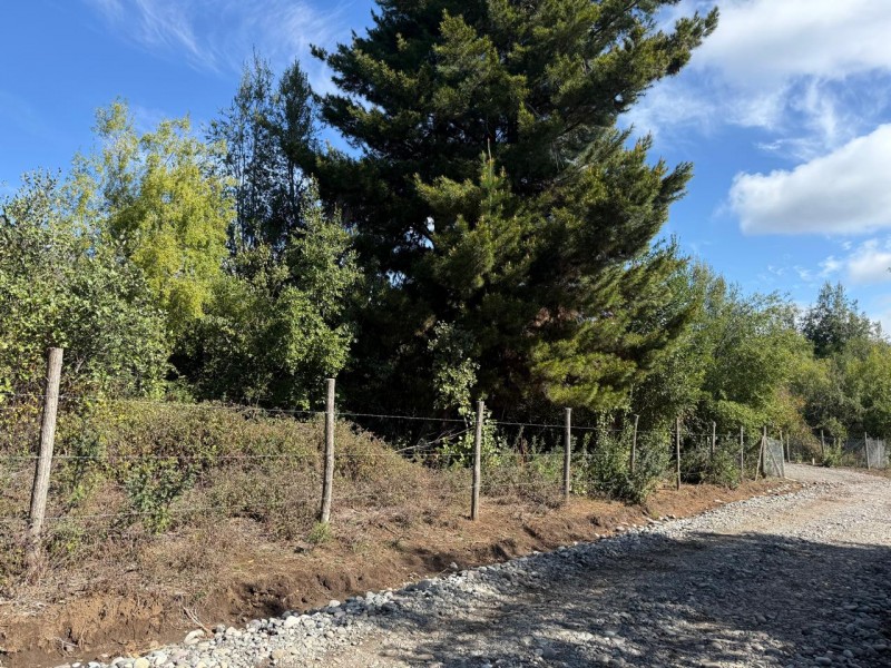 Se Vende Parcela de 5.000 M2 en Vilches Alto