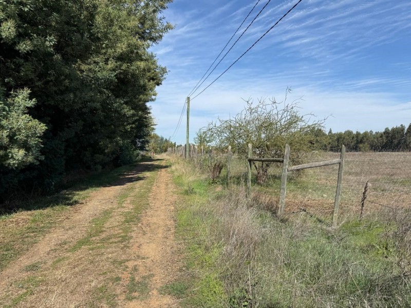 Se Vende 1 Hectárea en Sector Quesería Pelarco