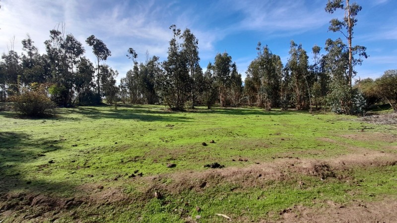 Se Vende Parcela Agrícola 40,14 Hectáreas en San Rafael