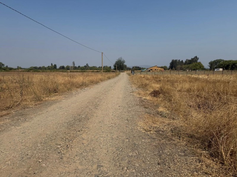 Se Vende Parcela de 5.000 M2 en la Comuna de San Rafael