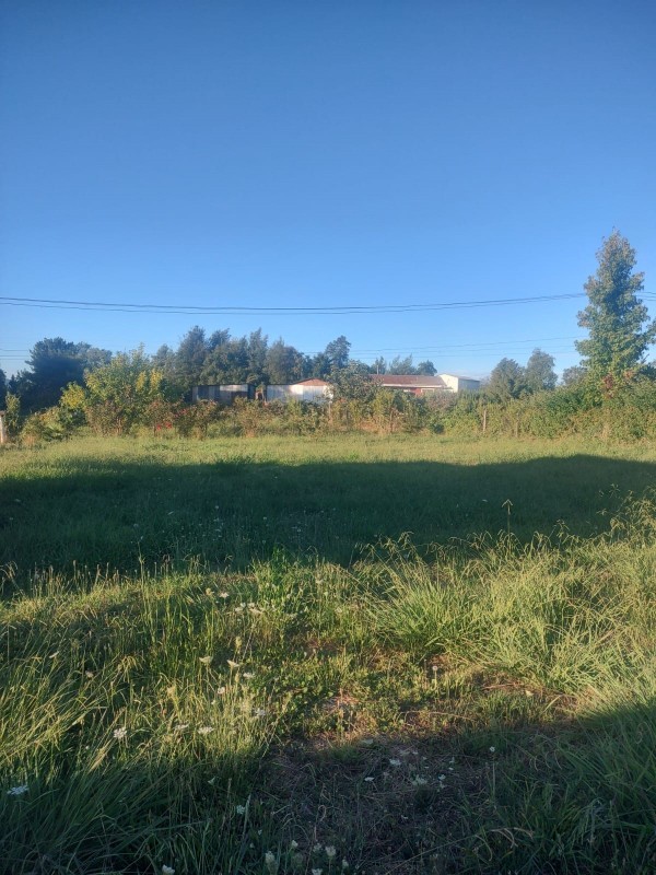 Se Vende Parcela de 2,4 Hectáreas Con Cabaña,san Clemente