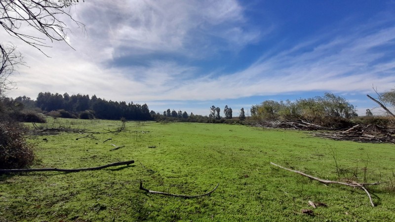 Se Vende Parcela Agrícola 40,14 Hectáreas en San Rafael
