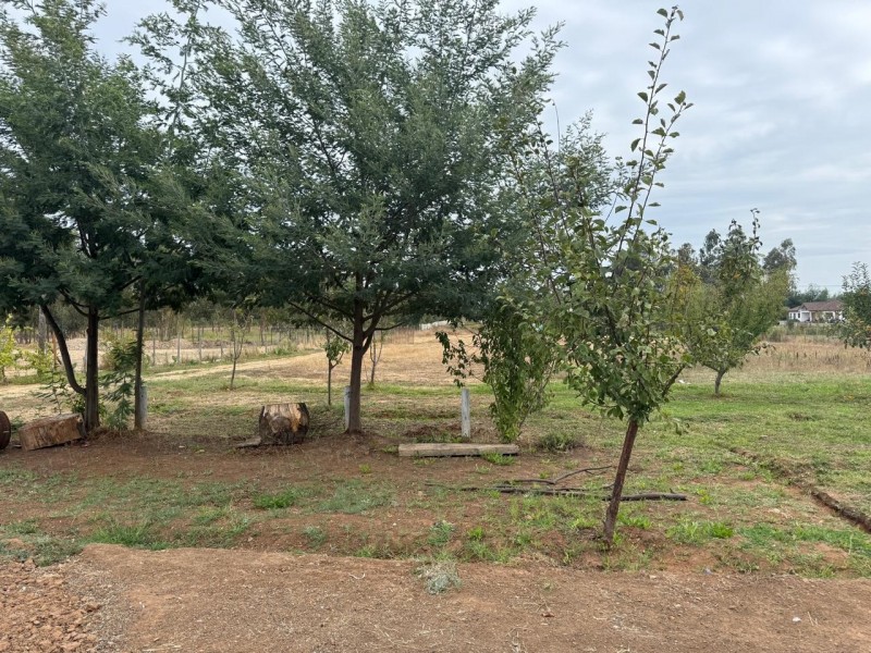 Se Vende Parcela 7.430 M2 Con Casa en Pelarco