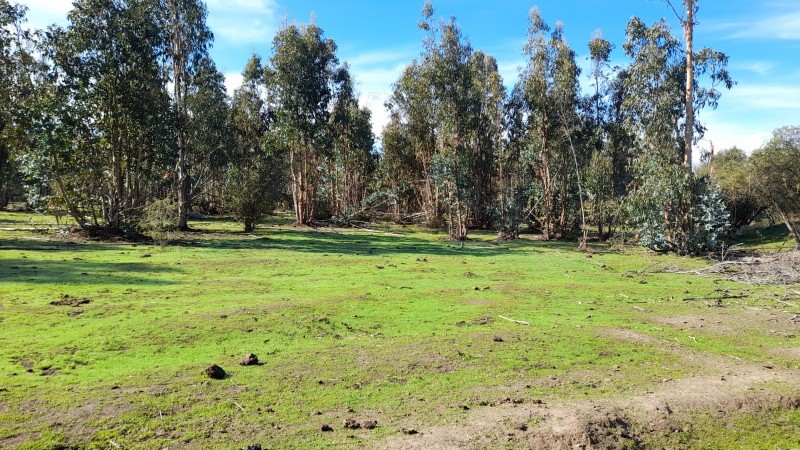 Se Vende Parcela Agrícola 40,14 Hectáreas en San Rafael