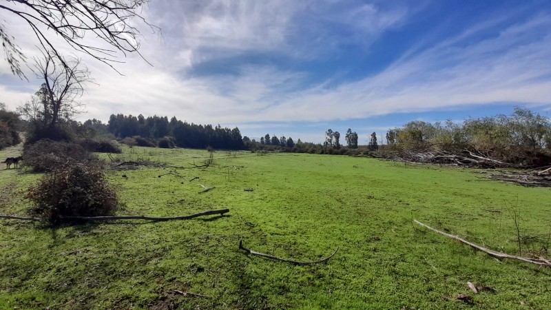 Fotografía de Se Vende Parcela Agrícola 40,14 Hectáreas en San Rafael