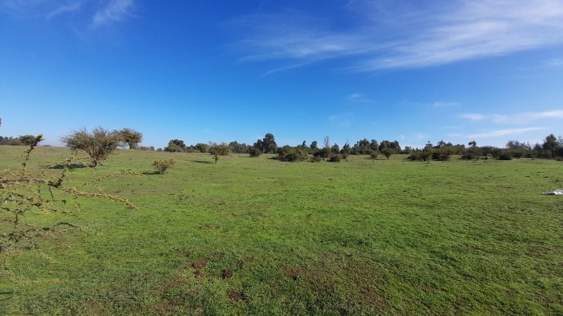 Se Vende Parcela Agrícola 40,14 Hectáreas en San Rafael