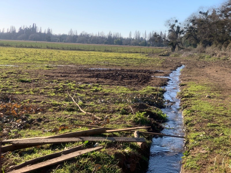 Se Vende Parcela Agrícola de 8 Hectáreas,pelarco
