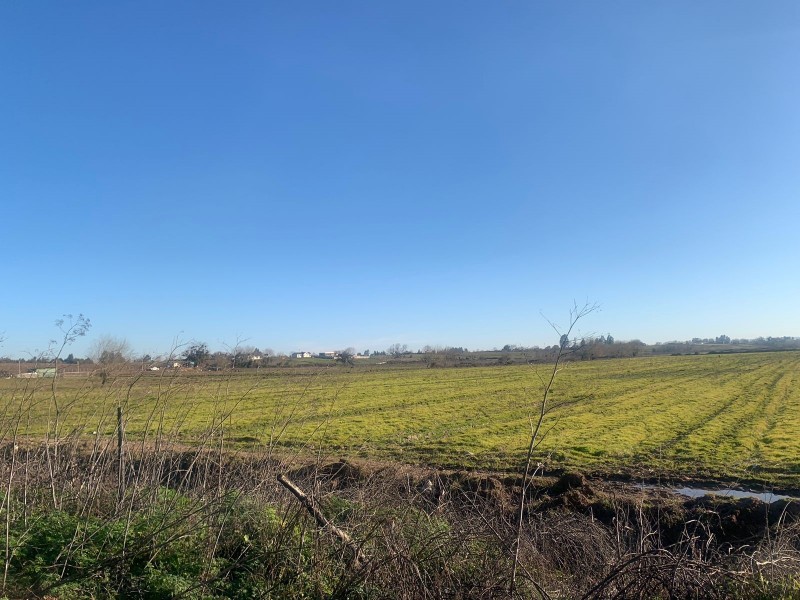 Se Vende Parcela Agrícola de 8 Hectáreas,pelarco