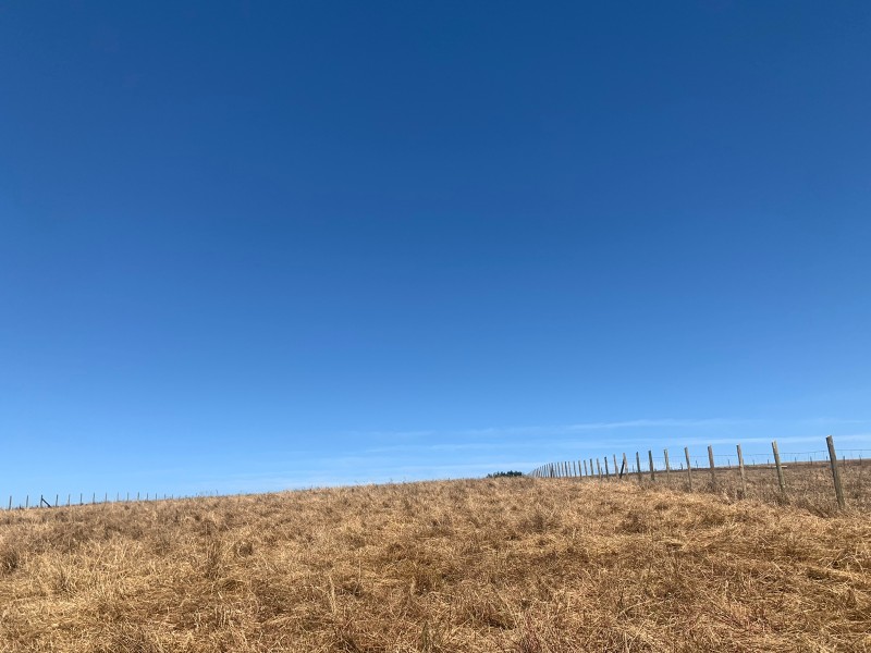 Se Vende Excelente Parcela de 5.000 M2, Loteo Fundo de Duao