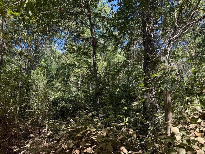 Se Vende Parcela de Agrado 5.000 M2, en Vilches Alto