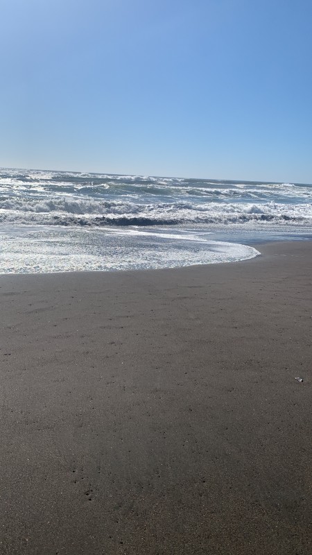 Se Vende Excelente Parcela de 5.000 M2, Loteo Fundo de Duao