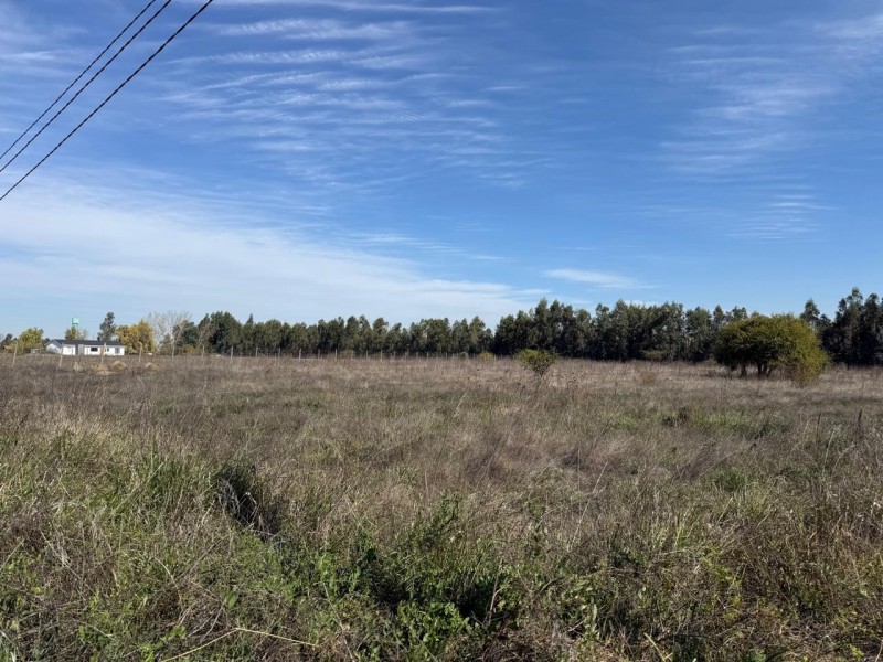 Se Vende 1 Hectárea en Sector Quesería Pelarco