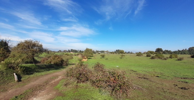 Se Vende Parcela Agrícola 40,14 Hectáreas en San Rafael