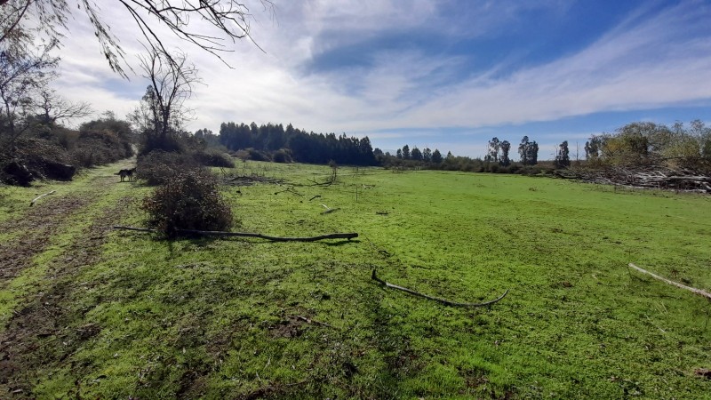 Se Vende Parcela Agrícola 40,14 Hectáreas en San Rafael