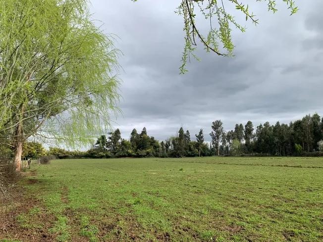 Se Vende Parcela Agrícola 3,59 Ha en la Comuna de Pelarco