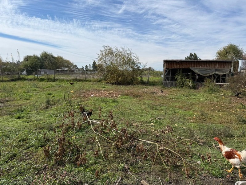 Se Vende Parcela Con 2 Casas Independientes en Pelarco